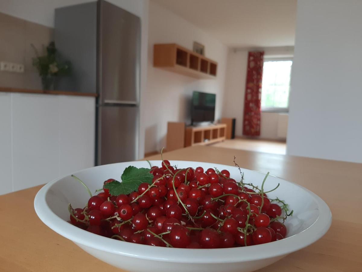 Apartman Dvorak 194 Pod Svatou Horou Příbram Εξωτερικό φωτογραφία